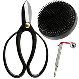 Wazakura Made in Japan Ikebana for Beginners Tool Kit. Koryu Scissors, Black Kenzan Flower Holder, Cleaner. Floral Arrangement Set, Florist Shears & Wazakura