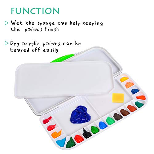 Falling in Art 18 Well + 3 Mixing Area Air Tight Watercolor Palette with a Sponge(10 5/8 inches L x 5 1/8 inches W) - WoodArtSupply