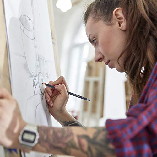 Dyvicl Professional Charcoal Pencils Drawing Set - 12 Pieces Soft, Medium & Hard Charcoal Pencils for Drawing, Sketching, Shading, Artist Pencils for Dyvicl