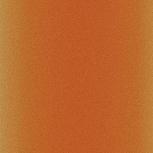 Cricut Infusible Ink Transfer Sheets -2 Sheets 12" x 12" - Leopard Pattern - For Cricut EasyPress, Maker, Explore Air 2 Cricut