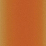 Cricut Infusible Ink Transfer Sheets -2 Sheets 12" x 12" - Leopard Pattern - For Cricut EasyPress, Maker, Explore Air 2 Cricut