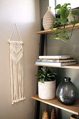 KIMMER 3 in 1 DIY Macrame Kit for Beginners| Wall Hanger | Plant Hanger | Dream Catcher |l Wall Décor |Crafts Adults |Wall Art Home Décor | Woven - WoodArtSupply