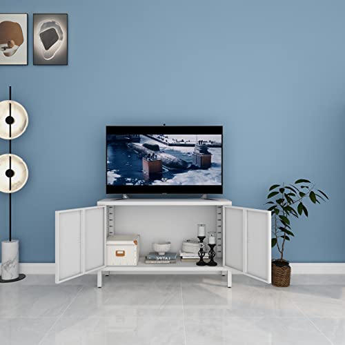 WISUNO Metal Accent Storage Cabinet for Bed Room,Living Room,Home,Hotel,Office,Garage,2-Tier, Removable Shelf (2 Door Accent Cabinet, White) WISUNO