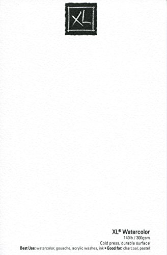 3 Pack Canson XL Series Watercolor Paper Pad 9" x 12" Bundle with Try Me Watercolor Paintbrush Set- Cold Press 140lb 300gsm Includes (3) 30 Sheet Jerry's Artarama