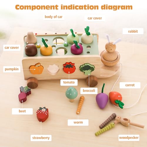 OESSUF Montessori Toys Toddlers Wooden Educational Toys for Baby Boys Girls, Shape Sorting & Matching Fine Motor Skills Toys, Birthday Gifts for Kids OESSUF