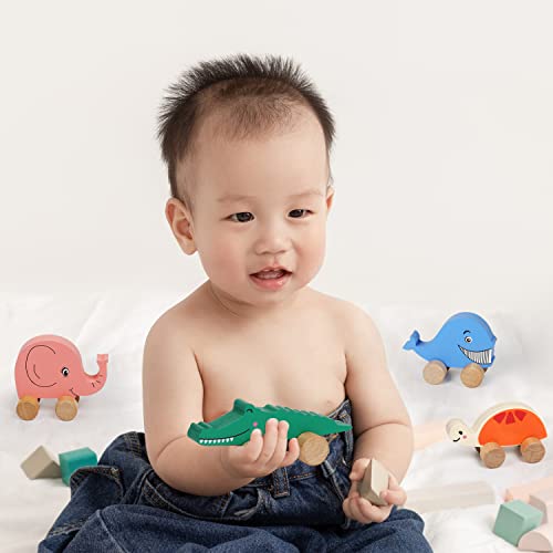 TOWO Wooden Cars for Toddlers - Animals on Wheels - Vehicles Sensory Grasping Motor Skill Toy –Push and Go First Trucks for Baby 12 Months 1 Year Old Toys of Wood Oxford