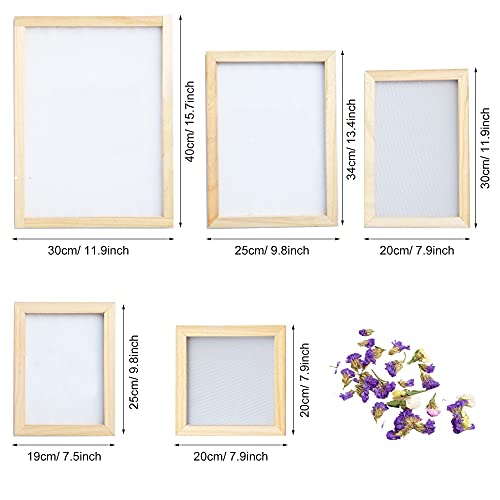 Cayway 11 Pack Paper Making Screen Kit Include 5 PCS Wooden Paper Making Mold Frame, Dried Flowers, Replace Mesh Cloth, Spoon Stirrer and Tweezers