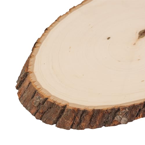 Walnut Hollow Basswood Round, Medium 7-9" Wide with Live Edge Wood (Pack of 6) - for Wood Burning, Home Décor, and Rustic Weddings - WoodArtSupply