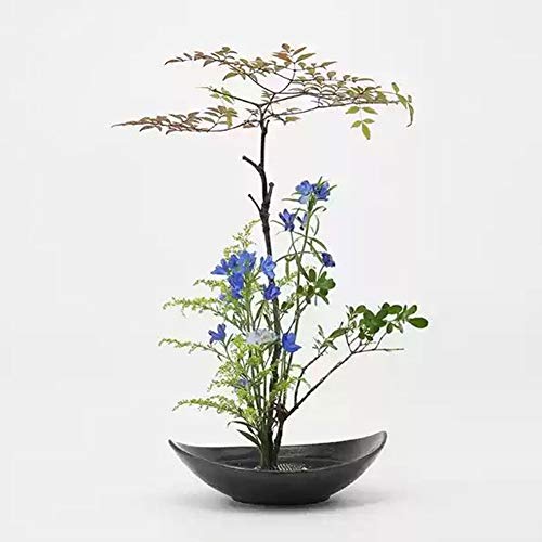 WANDIC Flower Frog Kit, Crescent Shaped Ikebana Flower Vase with 5cm Ikebana Kenzan Flower Frog and Wood Base for Flower Arranging Art, Black Spotted - WoodArtSupply