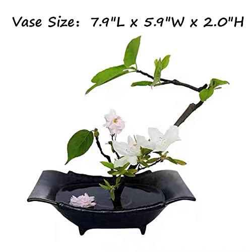Japanese Flower Frog Ikebana Vase Kit, Ceramics Flower Container (7.9"Lx5.9"Wx2.0"H) with 2.4" Round Floral Frog and 2 in 1 Kenzan Needle Eggone