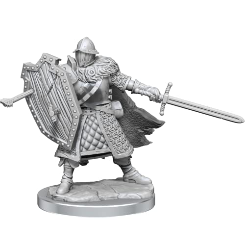 D&D Frameworks: Human Fighter Male - Unpainted and Unassembled - WoodArtSupply