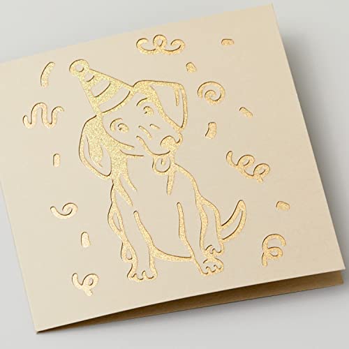 Cricut Cutaway Cards R10, Intricately Design Birthday Cards, Thank You Cards, Custom Greeting Cards, Holographic Backer, Compatible with Cricut Cricut