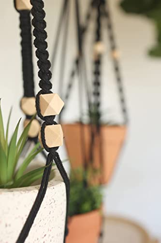 Macrame Kit-Black Edition-Makes 3 Macrame Plant Hangers with Easy to Follow Instructions for Adult Beginners - Includes 109 Yards 3mm Cotton Macrame - WoodArtSupply