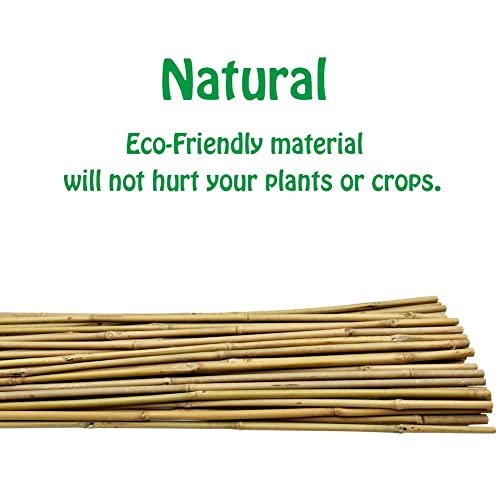 Mininfa Natural Bamboo Stakes 6 Feet, Eco-Friendly Garden Stakes, Plant Stakes Supports Climbing for Tomatoes, Trees, Beans, 20 Pack Mininfa
