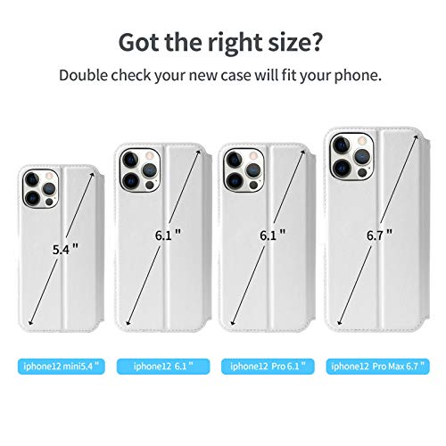 Drawing-1 for Painters, Landscapes, Illuminations! Series, Basic Oil Painting Concepts [VHS] LILIEDAHL