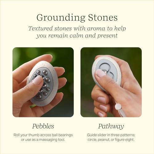 Lifelines Scent-Infused Meditative Fidget Stones 2-Pack & Essential Oil Set, Portable Essential Oil Diffuser with Individual Walk in The Woods: