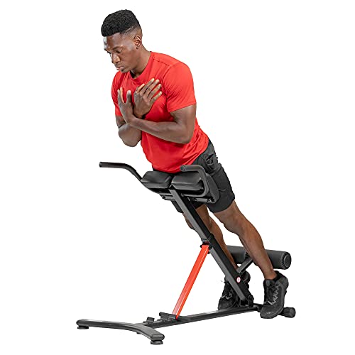 Sunny Health & Fitness Hyperextension incline,flat Roman Chair with Dip Station - SF-BH620062 , Black Sunny Health & Fitness