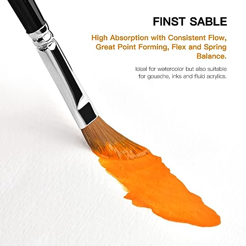 Sable Watercolor Brushes Professional Kolinsky Watercolor Artist Paint Brushes 7pcs, Pointed Rounds, Rigger, Long Flat, Dagger, Fan for Watercolor Fuumuui