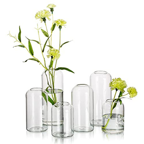 Glass Bud Vases for Flowers - Hewory Blown Modern Small Glass Vases for Centerpieces Set of 6, Mini Clear Bulk Flower Vases for Wedding Party Events Hewory