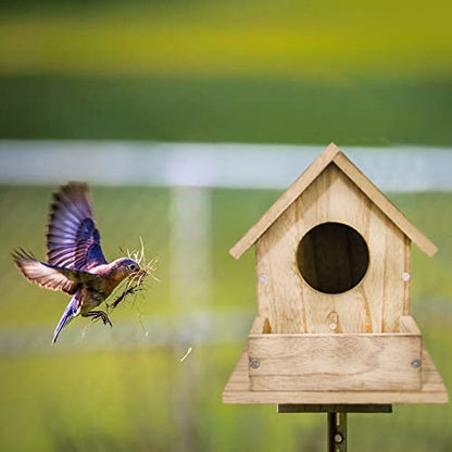 DIY Outdoor Wooden Bird Feeding Build House,Wooden Bird House Kit for Outside Hanging,4.6 Inches Bird Nest, Nesting Box for Backyard Courtyard Patio - WoodArtSupply