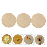 Operitacx 12 Pcs Painting Board Wooden Coins Unfinished Wooden Circles Unfinished Wood Round Wood Rounds for Crafts Unfinished Wooden Slices Blank Cd Operitacx