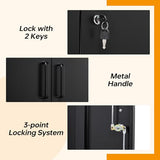 STANI Metal Storage Cabinet with 2 Adjustable Shelves, Steel Counter Cabinet with Lockable Doors for Home Office (Black) STANI