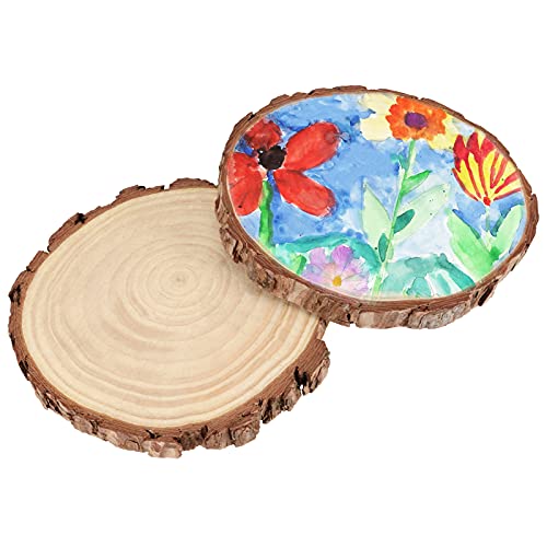 14 PCS 6.3-6.7 Inch Natural Wood Slices, 3/5 Inch Thick Unfinished Wood Slices for Crafts, Wedding, Decoration, Painting MUKCHAP