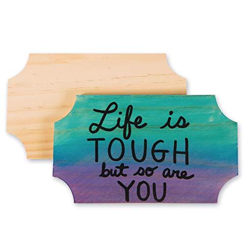 Unfinished Budget Plaques (Pack of 12) S&S Worldwide