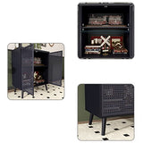 JZXSHD Metal Rattan Accent Cabinet - 2 Door Buffet Storage for Kitchen, Living Room and Hallway, Black JZXSHD
