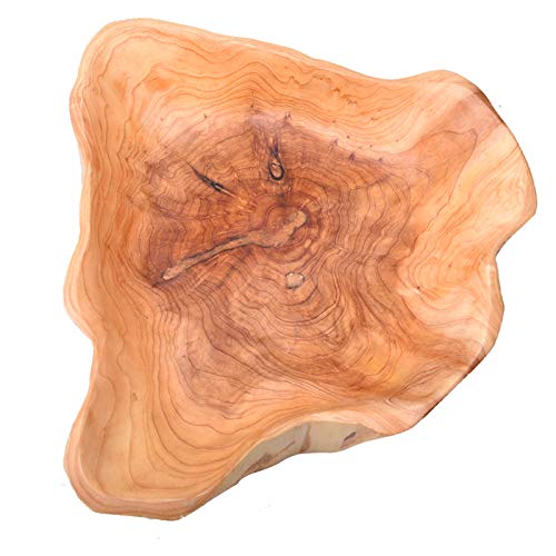 KIDYBELL Wood bowl(12"-14"),Handmade Natural Root Carving Bowl Fruit Salad Bowl Creative Wooden Bowl - WoodArtSupply