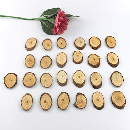25pcs Summer Camp The Wedding DIY Crafts Wood Material Home Decorations Christmas Decor Unfinished Wood Cutouts Slices Unfinished Wood Slices Painted