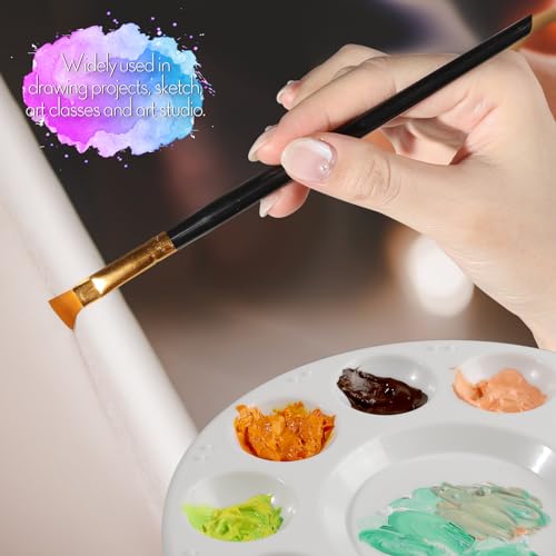 FANDAMEI Round Paint Tray Palettes and Paint Brushes Set, Paintbrushes, 3 PCS Plastic Paint Palettes Pallets, 10 PCS Acrylic Paint Brushes, Nylon - WoodArtSupply