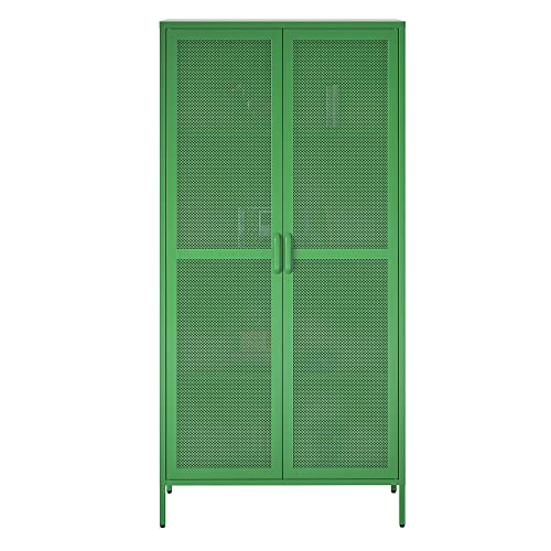 Novogratz Channing Tall 2 Door Storage Cabinet-Mesh Metal Locker, Kelly Green - WoodArtSupply