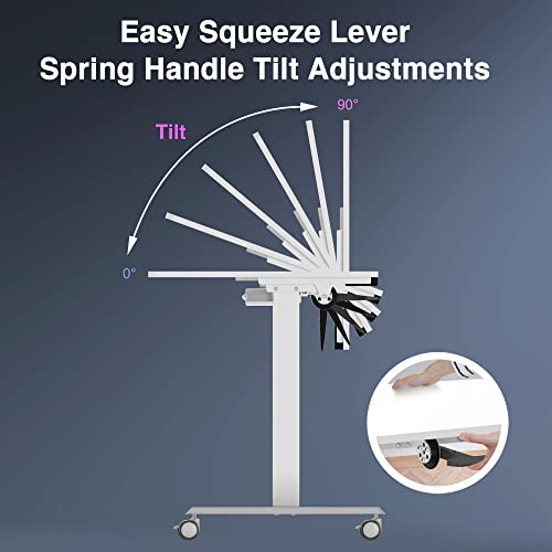 AVLT 50" Electric Standing Desk with Tilting Tabletop (4 ft 7 inches) – Height Adjustable Dry Erase Top Whiteboard and Rolling Casters – 2 Leg AVLT
