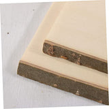 Operitacx 2 Pcs Unfinished Wood Blank Plaque Wood for Wall Display Board Wood Board Wall Pendant Decor Board Hanging Craft Wood Arts and Crafts for Operitacx