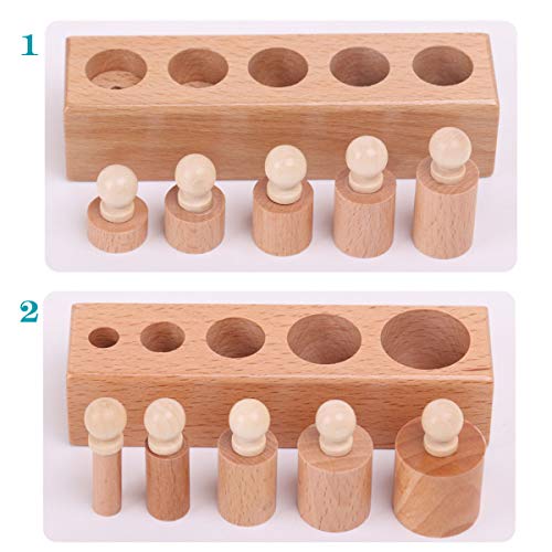 Thoth Montessori Knobbed Cylinder Socket Montessori Materials Wooden Cylinders Ladder Blocks Educational Wooden Toy Montessori Education Toy Family Thoth