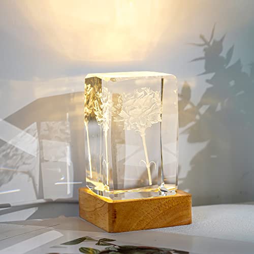 ZEERSHEE Pack 2 Wooden LED Light Display Base Crystal Glass Light Base Stand Wood LED Display Stand for 3D Crystal Laser Glass Resin Art Warm Light ZEERSHEE