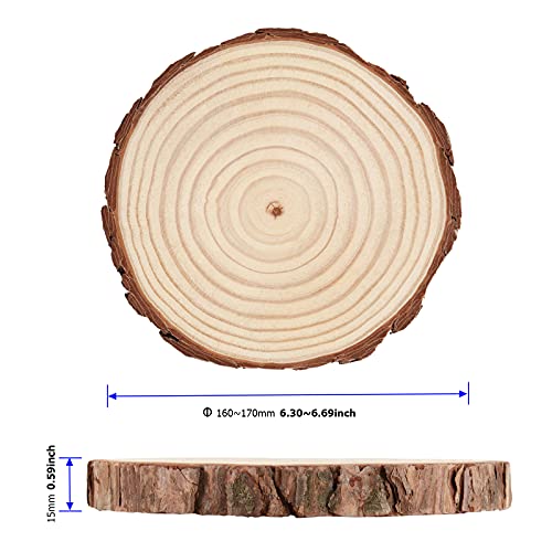 14 PCS 6.3-6.7 Inch Natural Wood Slices, 3/5 Inch Thick Unfinished Wood Slices for Crafts, Wedding, Decoration, Painting MUKCHAP