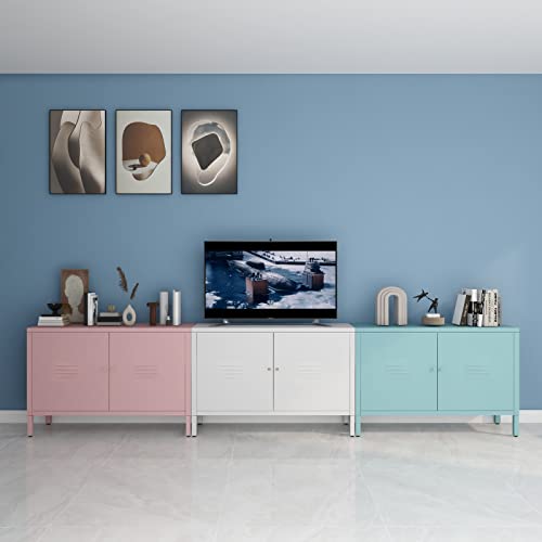 WISUNO Metal Accent Storage Cabinet for Bed Room,Living Room,Home,Hotel,Office,Garage,2-Tier, Removable Shelf (2 Door Accent Cabinet, White) WISUNO