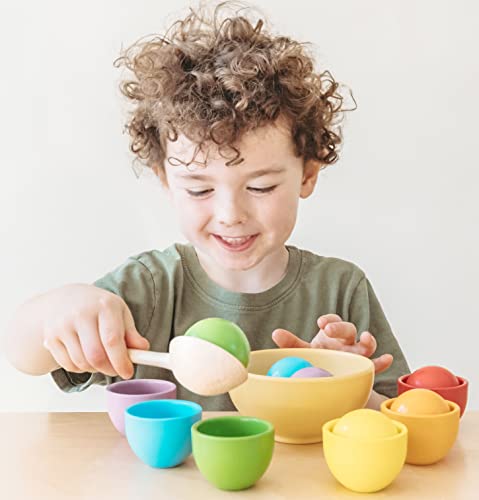 Montessori Large Rainbow Colored Sorting Ball in Cup | Preschool Color Matching Toy | Gross Motor Transfer Activity | 6 Toddler Safe Wooden Balls