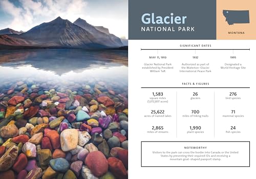 Paint by Number Kit National Parks: Capture America's Most Beautiful Places! Kit Includes: 5 Paint by Number Canvases, 10 paint colors, Paintbrush, WoodArtSupply