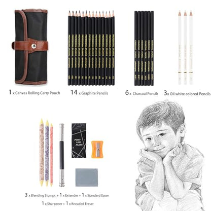 Heshengping 31 Drawing Sketching Pencils Kit, Portable Artist Supples Travel Case Set has Graphite, Charcoal, white color pencil, Blending Stump, - WoodArtSupply