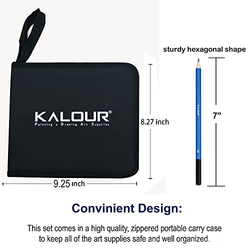 KALOUR 33 Pieces Pro Drawing Kit Sketching Pencils Set,Portable Zippered Travel Case-Charcoal Pencils, Sketch Pencils, Charcoal KALOUR