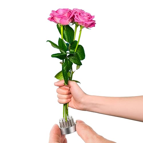 WUWEOT 12 Pack Kenzan Ikebana Flower Frogs, 0.9 Inch Flower Spiky Frog Japanese Pin Frog, Sliver Floral Fixed Tools, Metal Flower Arrangement Holder WUWEOT