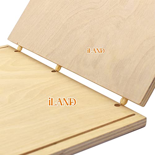 iLAND Dollhouse Display Box, Unfinished Wood Shadow Box, Quick-Build Display Case with Transparent Front 15.7“ x 11” x 11“ Suitable for Lego & 1/12 iland