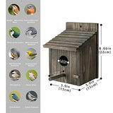 Bird House for Outside with Predator Guard, Nesting Box Birdhouse for Outdoor Wild Bird Watching, Royal Blue CLACKIBUKVYZ