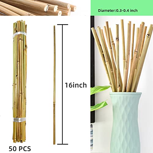50Pcs Garden Stakes, 0.32”/16 Inch Bamboo Sticks，Natural Plant Stakes for Indoor and Outdoor Plants，Poles for Tomatoes, Beans, Potted Plants Anothera