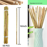 50Pcs Garden Stakes, 0.32”/16 Inch Bamboo Sticks，Natural Plant Stakes for Indoor and Outdoor Plants，Poles for Tomatoes, Beans, Potted Plants Anothera