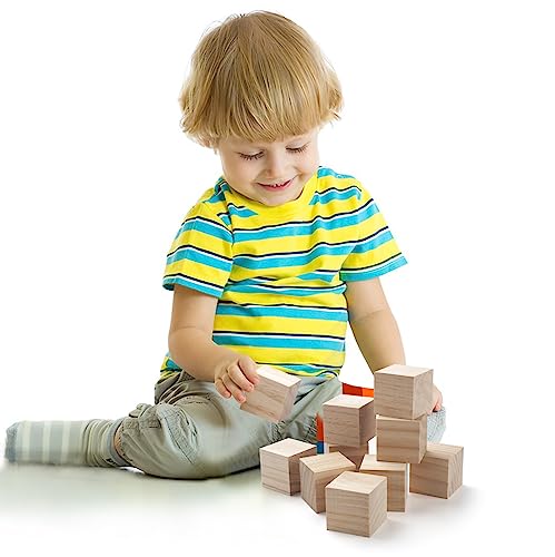 Blank Wood Blocks for Crafting, 2 inch 10PCS Unfinished Large Wooden Blocks for Crafts and Decor, Natural Solid Wooden Squares Wood Cubes for Baby Coowayze