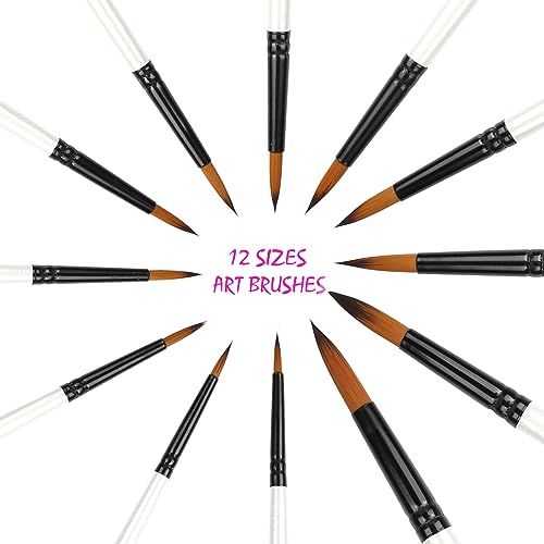 Dainayw 12 PCS Round Paint Brushes Set, Artist Brush for Acrylic Watercolor Oil Painting, Face Body Nail Art, Crafts, Canvas, Rock, Miniature Model & - WoodArtSupply